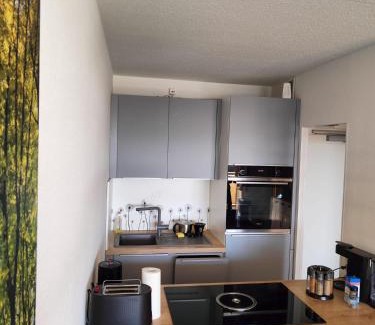 Hohegeiß Apartamento | Apartment Wanderslust im Harz mit Pool & Sauna