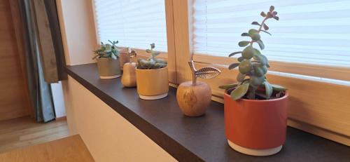 Hoarberg Apartamento | Apartment Wechselberger Tobias & Jaqueline