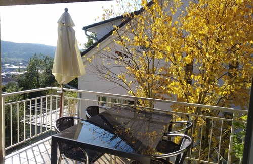 Tuebingen Apartamento | Apartment 'Wiedmann'