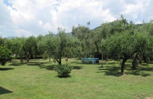 Capanne-Prato-Cinquale Apartamento | Apartment Wilma by Interhome