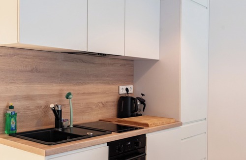 Leipziger Vorstadt Apartamento | Apartment with terrace in Dresden Neustadt - your stylish temporary home