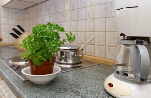 Spiegelau Apartamento | Apartment Wohnung Rachel