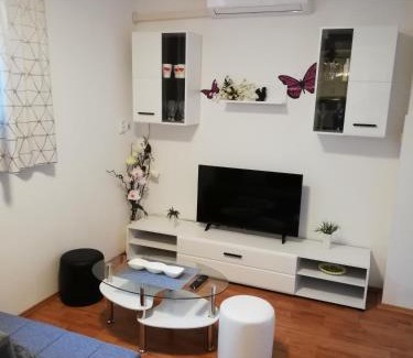 Stinjan Apartamento | Apartment Zdravko