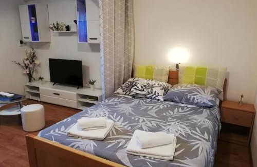Stinjan Apartamento | Apartment Zdravko
