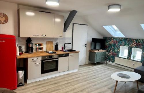 Erfurt Old Town Apartamento | Apartment zum bunten Schmetterling inkl. Parkplatz