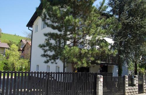 Kamnica Apartamento | Apartment Zupan