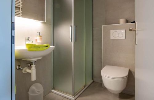 Riederalp Apartamento | Apartment Zurschmitten 11 2- UG Süd by Interhome