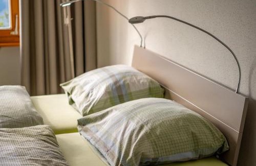Riederalp Apartamento | Apartment Zurschmitten 8 2- UG Süd by Interhome