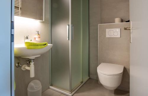 Riederalp Apartamento | Apartment Zurschmitten 8 2- UG Süd by Interhome