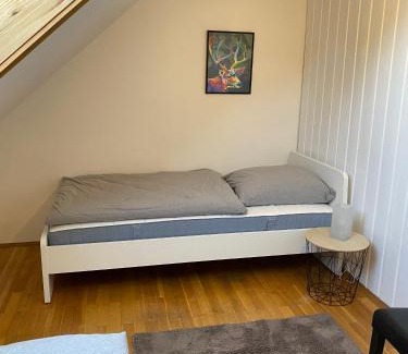 Selbitz Apartamento | Apartmenthaus Selbitz