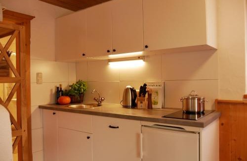 Kirchberg in Tirol Apartamento | Apartmenthaus Thussn, cozy & quiet location, hiking & MTB,