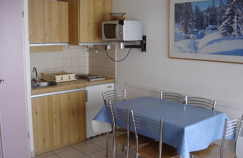 Pla d'Adet Apartamento | Apartamentos 2-4-6 personas. Paramentos y pies de pistas Garajes