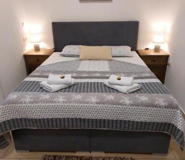 Celje Apartamento | Apartments Alexandra