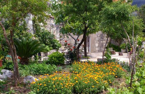 Slano Casa | Apartments and rooms by the sea Slano, Dubrovnik - 2682