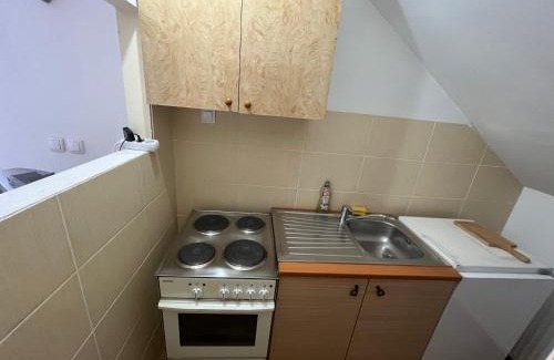 Kopaonik Casa | Apartments and Rooms Vicko