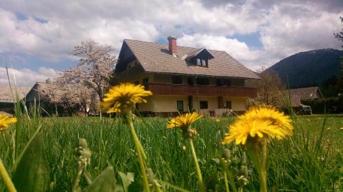 Bohinj Apartamento | Apartments Arh