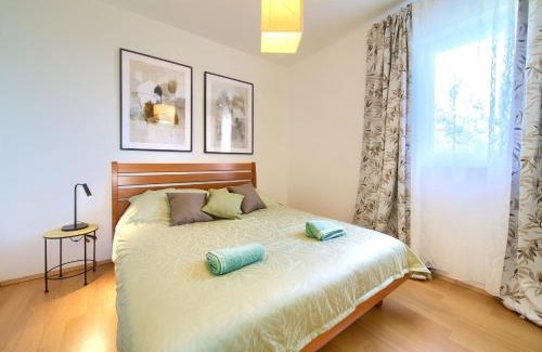 Milcetici Apartamento | Apartments Aster
