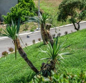 Gjerana Apartamento | Apartments Bazar