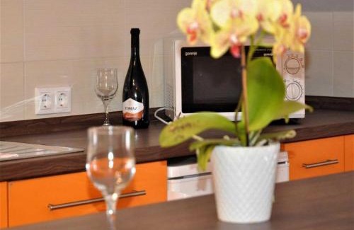 Nova Vas Apartamento | Apartments Belicka - Two Bedroom Apartment with shared Terrace - A2