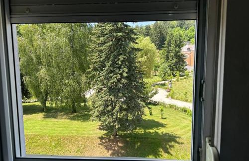 Donje Polje Apartamento | Apartments Bokan
