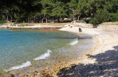 Artatore Apartamento | Apartments by the sea Artatore, Losinj - 2509