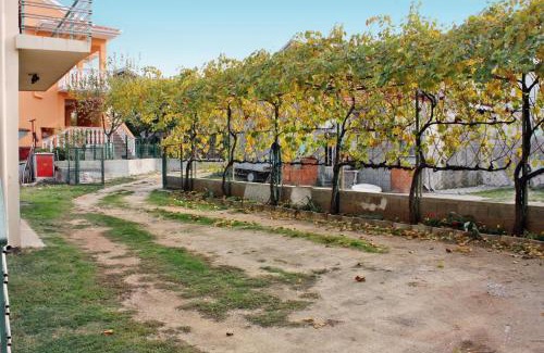 Bibinje Apartamento | Apartments by the sea Bibinje, Zadar - 5866