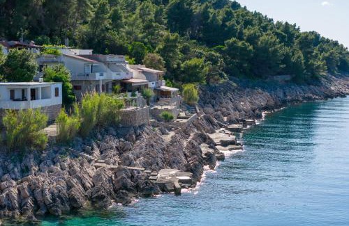 Bogomolje Apartamento | Apartments by the sea Cove Solotisa, Hvar - 5610