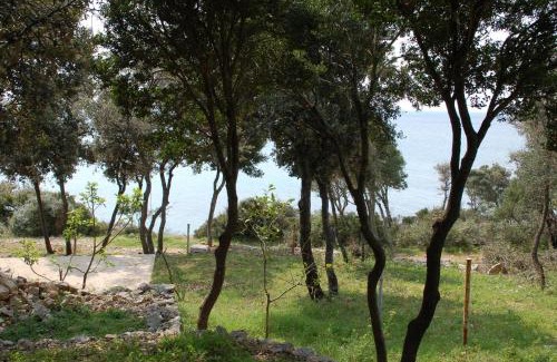 Lun Apartamento | Apartments by the sea Cove Mulobedanj, Pag - 16285