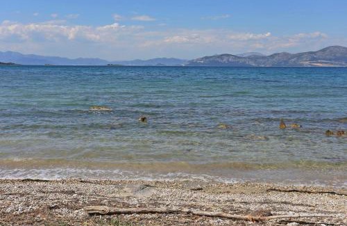 Drace Apartamento | Apartments by the sea Drace, Peljesac - 10135