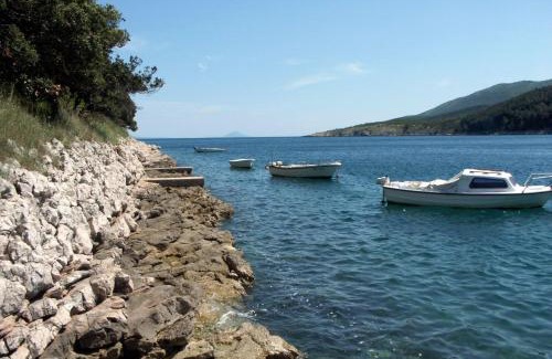 Duga Luka Apartamento | Apartments by the sea Duga Luka - Prtlog, Labin - 2335