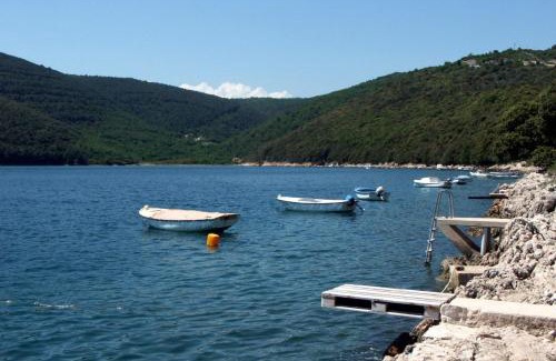 Duga Luka Apartamento | Apartments by the sea Duga Luka - Prtlog, Labin - 2335