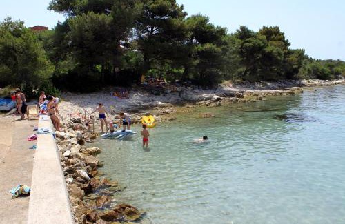 Ugljan Apartamento | Apartments by the sea Guduce, Ugljan - 13274