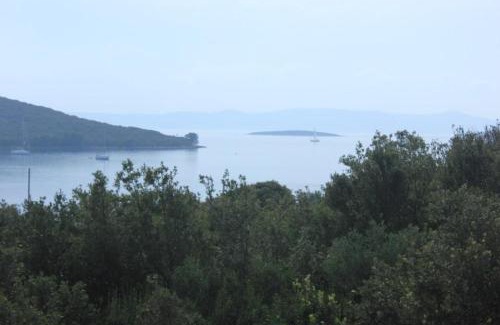 Muline Apartamento | Apartments by the sea Muline, Ugljan - 8520