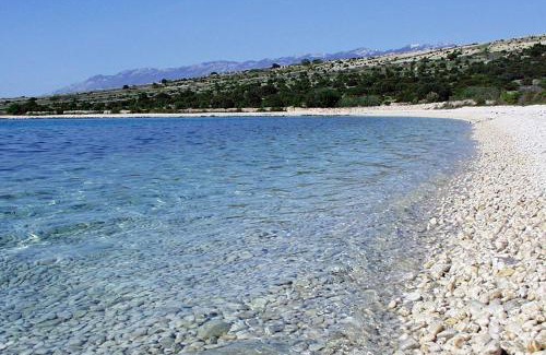 Mandre Apartamento | Apartments by the sea Mandre, Pag - 8655