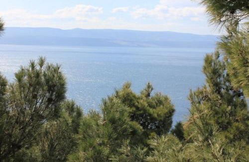 Marusici Apartamento | Apartments by the sea Marusici, Omis - 957
