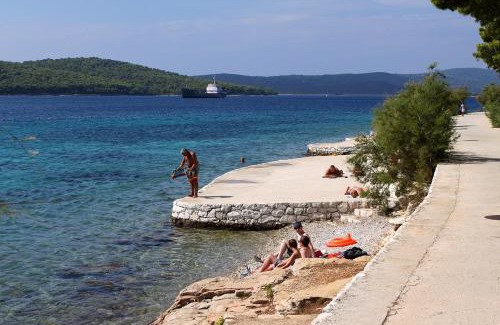 Milna (Brac) Apartamento | Apartments by the sea Milna, Brac - 5242