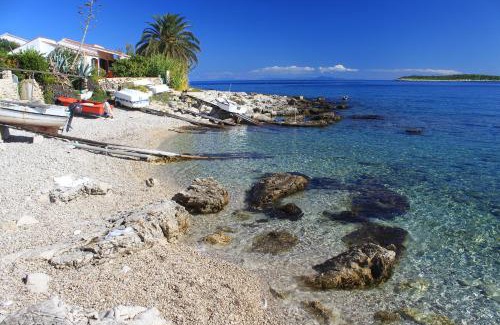 Milna Apartamento | Apartments by the sea Milna, Vis - 8895