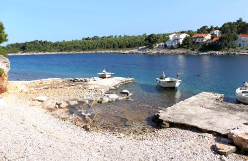 Cove Basina (Jelsa) Apartamento | Apartments by the sea Mudri Dolac, Hvar - 582