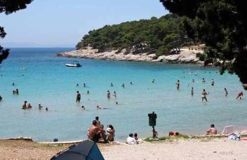 Susica Apartamento | Apartments by the sea Murter - 5078