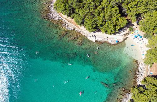 Nerezine Apartamento | Apartments by the sea Nerezine, Losinj - 23786