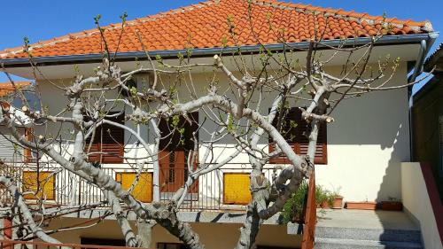 Municipality of Posedarje Apartamento | Apartments by the sea Posedarje, Novigrad - 12402