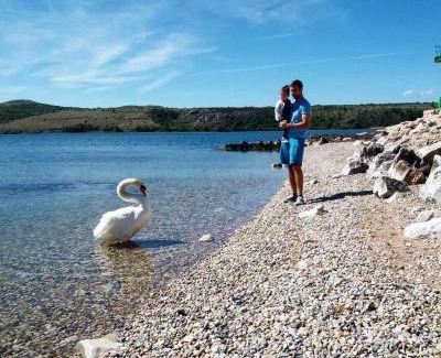Municipality of Posedarje Apartamento | Apartments by the sea Posedarje, Novigrad - 12402