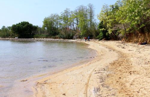 Privlaka Apartamento | Apartments by the sea Privlaka, Zadar - 14816