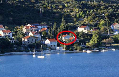 Slano Apartamento | Apartments by the sea Slano, Dubrovnik - 8599