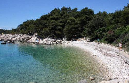 Suha Punta Apartamento | Apartments by the sea Suha Punta, Rab - 5050