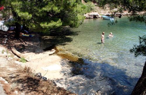 Vrboska Apartamento | Apartments by the sea Vrboska (Hvar) - 541