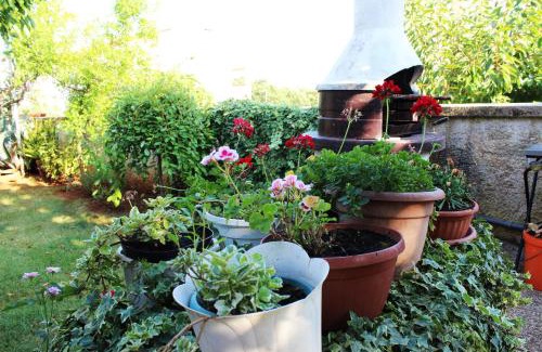 Vinkuran Apartamento | Apartments Cavae Romanae