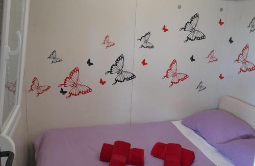 Mljet Casa | Apartments Dalamar