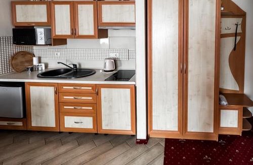 Ivano-Frankovsk Apartamento | Apartments Deluxe