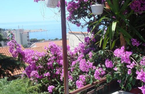 Bili brig Apartamento | Apartments Dobrinic
